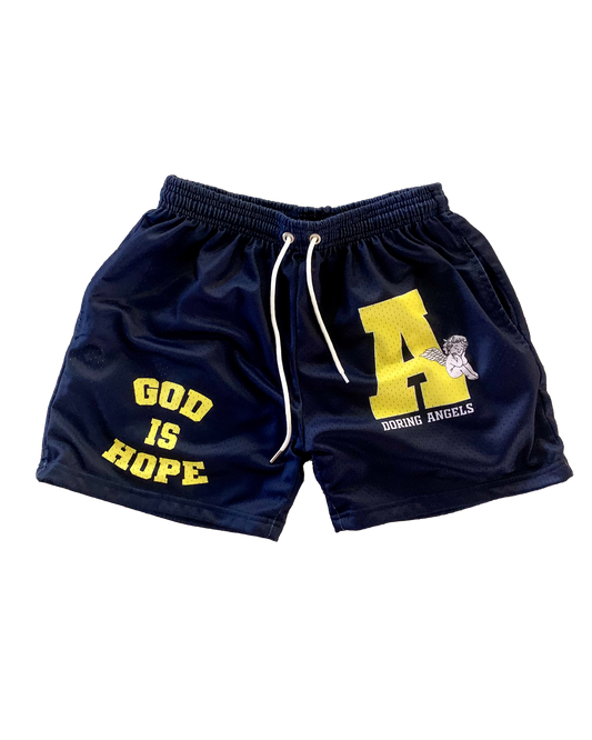 Michigan Mesh Shorts